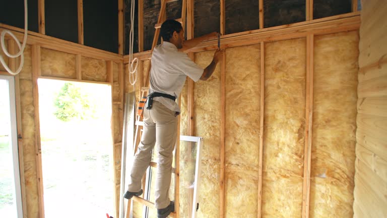 Best Attic Insulation Installation  in Eastpointe, MI